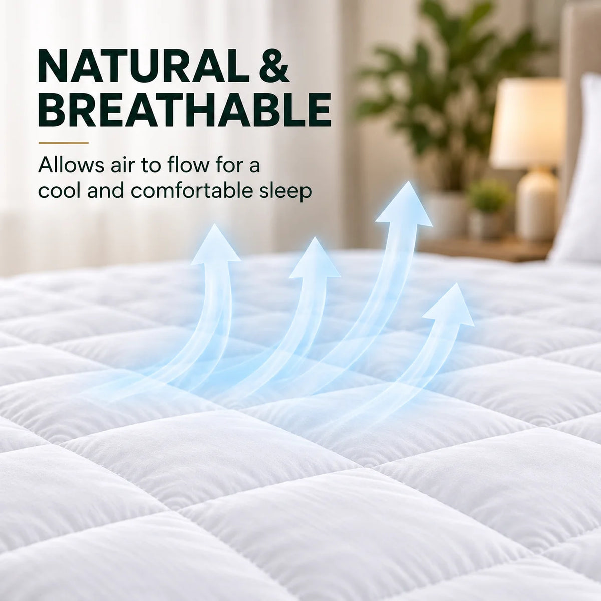 Waterproof Mattress Protector